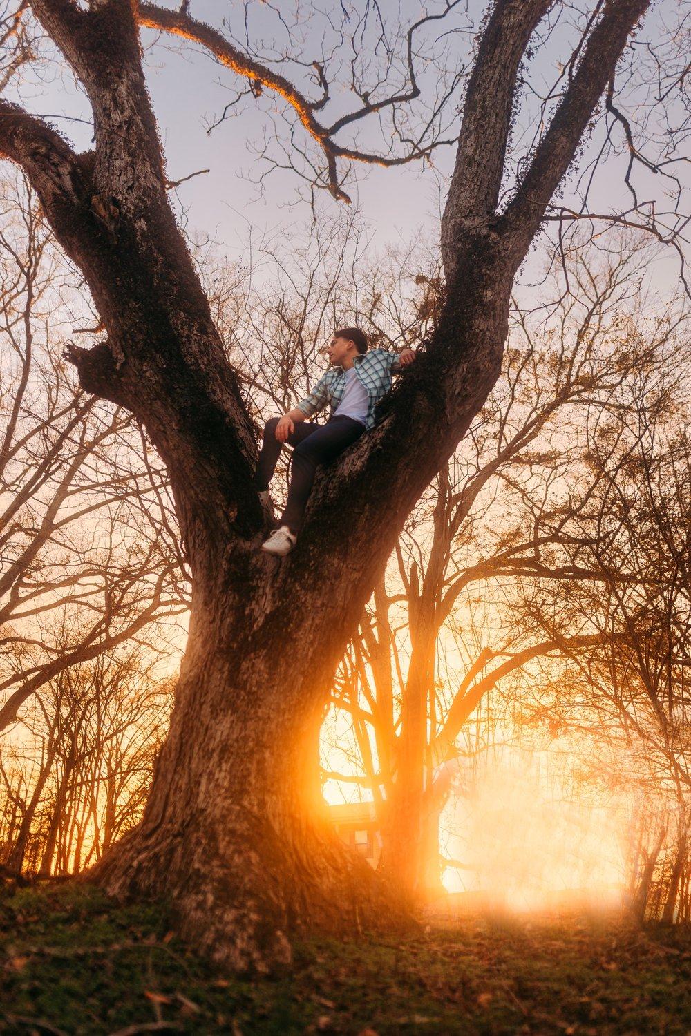 carousel-hero-element image-4